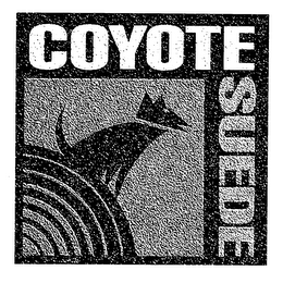 COYOTE SUEDE