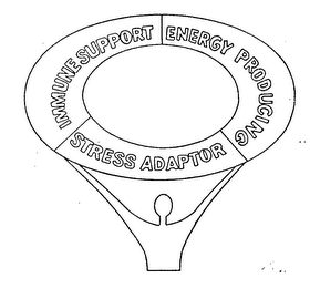 IMMUNE SUPPORT ENERGY PRODUCING STRESS ADAPTORS