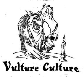 VULTURE CULTURE