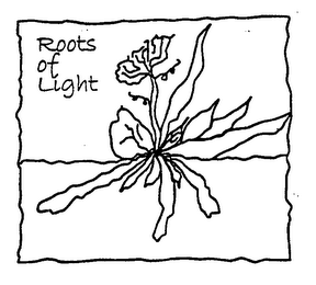 ROOTS OF LIGHT