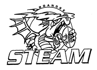 ROANOKE STEAM