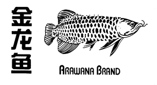 ARAWANA BRAND