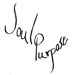 SOUL PURPOSE