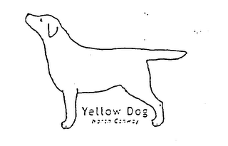 YELLOW DOG NORTH CONWAY