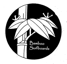 BAMBOO SURFBOARDS