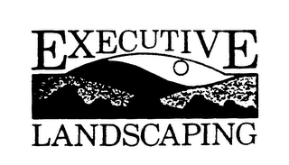 EXECUTIVE LANDSCAPING