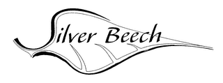 SILVER BEECH