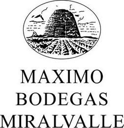 MAXIMO BODEGAS MIRALVALLE