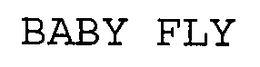 BABY FLY
