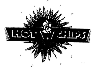 HOT CHIPS