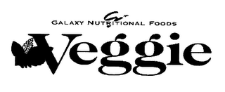 GALAXY NUTRITIONAL FOODS VEGGIE