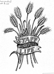 STAFF OF LIFE