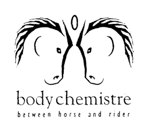 BODY CHEMISTRE BETWEEN HORSE AND RIDER