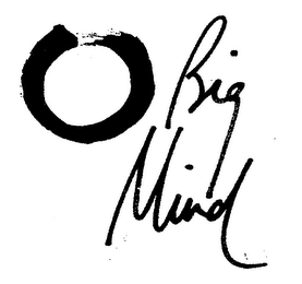 BIG MIND
