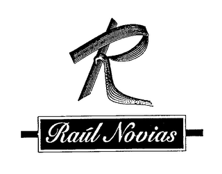 R RAUL NOVIAS