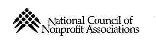 NATIONAL COUNCIL OF NONPROFIT ASSOCIATIONS