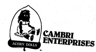 CAMBRI ENTERPRISES ACORN DOLLS