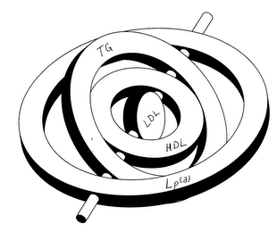 TG LDL HDL LP(A)