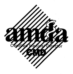 AMDA CERTIFIED MEDICAL DIRECTOR CMD