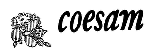 COESAM