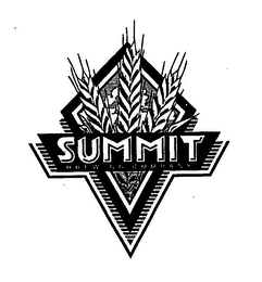 SUMMIT BREWING COMPANY