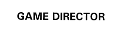 GAME DIRECTOR