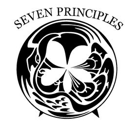 SEVEN PRINCIPLES