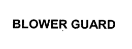 BLOWER GUARD