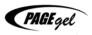 PAGE GEL
