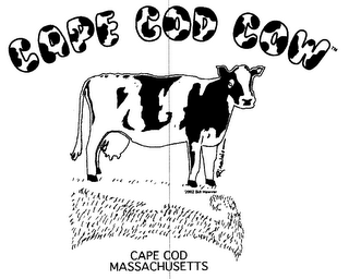 CAPE COD COW CAPE COD MASSACHUSETTS