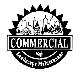 COMMERCIAL LANDSCAPE MAINTENANCE