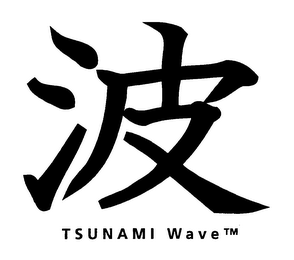 TSUNAMI WAVE