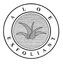 ALOE EXFOLIANT