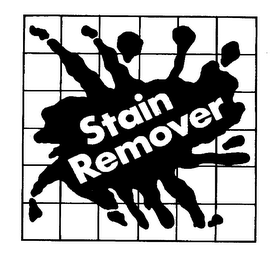 STAIN REMOVER