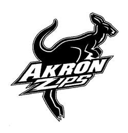 AKRON ZIPS