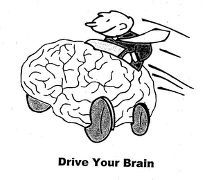 DRIVE YOUR BRAIN