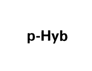 P-HYB