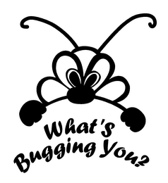 WHAT'S BUGGING YOU?