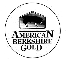 AMERICAN BERKSHIRE GOLD