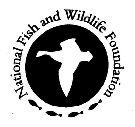 NATIONAL FISH AND WILDLIFE FOUNDATION