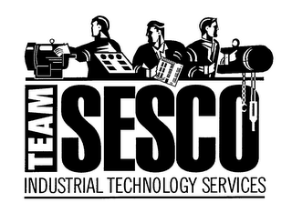 TEAM SESCO INDUSTRIAL TECHNOLOGY SERVICES