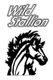 WILD STALLION