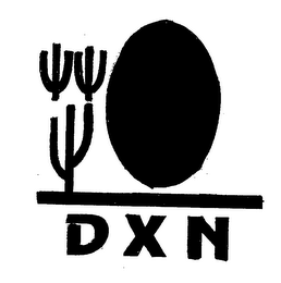 DXN