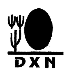 DXN