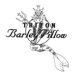 TRITON BARLEY PILLOW