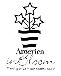 AMERICA IN BLOOM PLANTING PRIDE IN OUR COMMUNITIES!