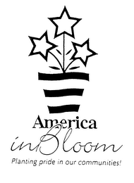 AMERICA IN BLOOM PLANTING PRIDE IN OUR COMMUNITIES!