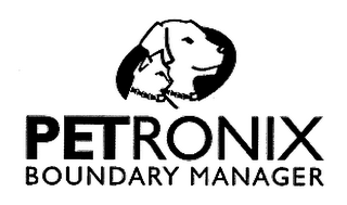 PETRONIX BOUNDARY MANAGER