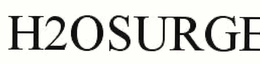 H2OSURGE
