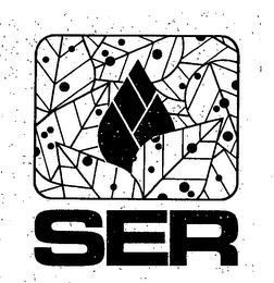 SER